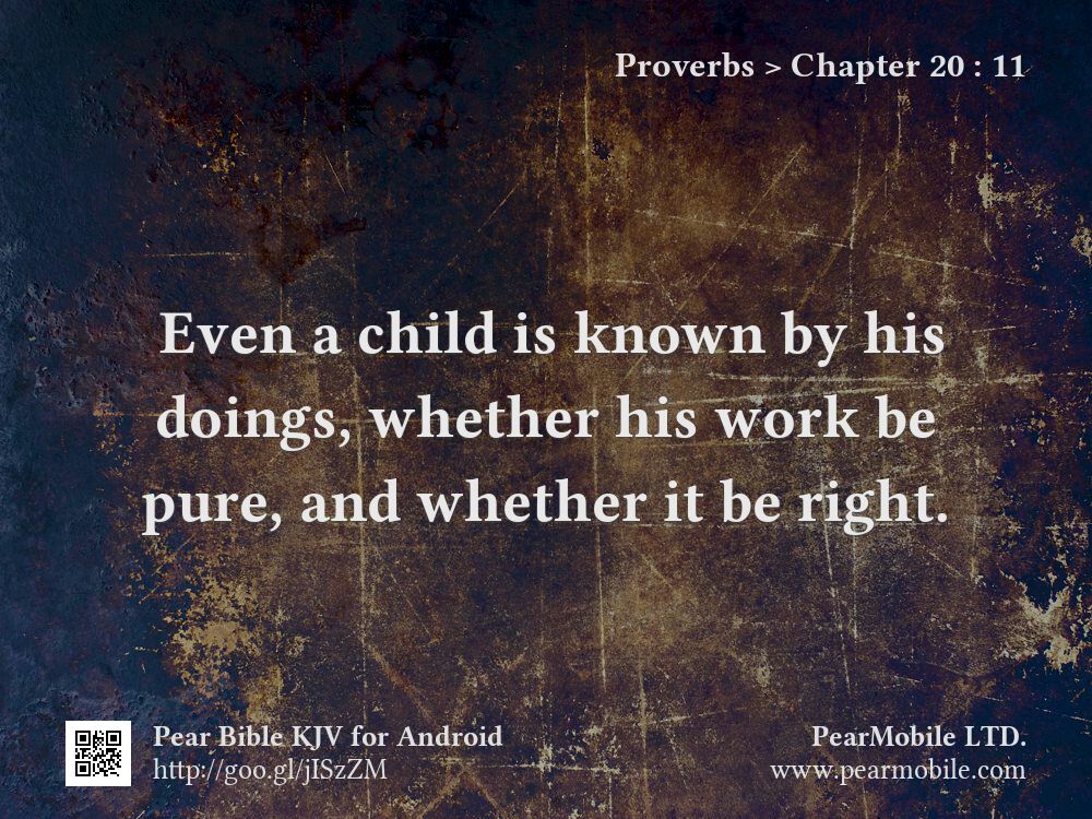 Proverbs, Chapter 20:11